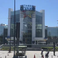 مهاجرت تحصیلی و کاری