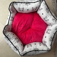 وسایل گربه جا خواب کوله ظرف خاک