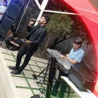 گروه هنری موزیک مجالس(خواننده و نوازنده)