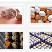 طرح توجیهی و بیزینسپلن،ثبت برند،صدور مجوز|خدمات مالی، حقوقی و اداری|کرمانشاه, |دیوار