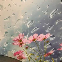 نظافتچی خانم برای همیشه