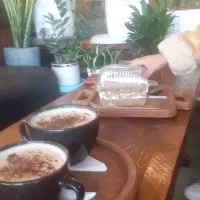 بانوان سالمند