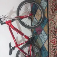 ۱۶۰۰۰۰۰۰۰|دوچرخه، اسکیت، اسکوتر|رودبار (کرمان), |دیوار