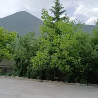 سوییت تک خوابه اجاره شبانه|اجارهٔ کوتاه‌مدت آپارتمان و سوئیت|کلاردشت, |دیوار