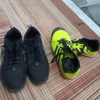 همگی درحدنو هستن