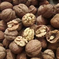 فروش ۵۰کیلوگردو بادست پوست گرفته شده