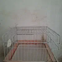 خانه حیوانات