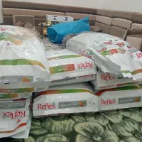 فروش غذای گربه
