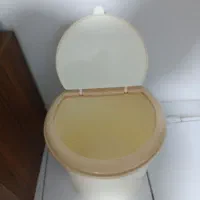 جابرنجی تکنو پلاست|ظروف نگهدارنده، پلاستیکی، یکبارمصرف|تهران, تولید دارو|دیوار