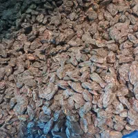 بار عمده مویز ازبک‌