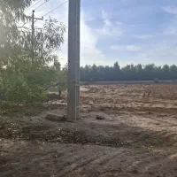 تجاری-2000-زاگرس