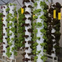 گلخانه ۱۰۰۰ متری کشت عمودی آئروپونیک|فروش دفتر صنعتی، کشاورزی، تجاری|تهران, سعادتآباد|دیوار