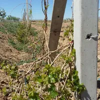 پایه فنس بتنی گروه صنعتی مهندس‌سازه|خدمات باغبانی و درختکاری|ساوه, |دیوار