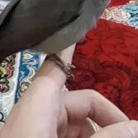 سهره اهوازی