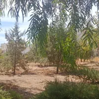 زمین خالدآباد مجموعه فاتحی داریون 1000 متری
