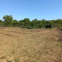 اجاره-زمین-زراعی-کشاورزی