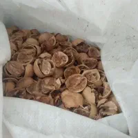 خریدار پوست گردو