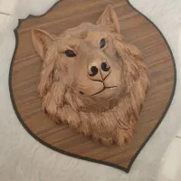 سردیس شیک