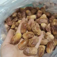 قصب درجه یک درشت قیمت توافقی