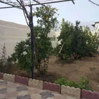 275متر ویلایی مبله نکا