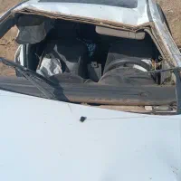 جیلی 2013