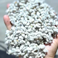 فروش عمده پنبه دانه و کنجاله درجه یک خراسان