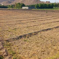 فروش زمین کشاورزی