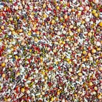 خرید وفروش انواع دانه مرغی گندم جو ذرت مخلوط