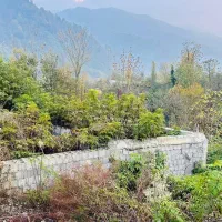 زمین-مسکونی-470متری-جنگلی-شفت