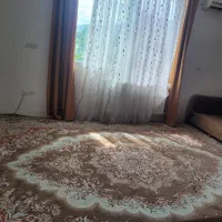 فرش دوازده متری گردویی در حد نو