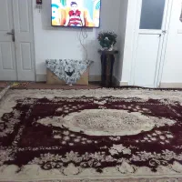 فرش ۱۲ متری کرم زرشکی