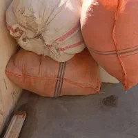 پشم میش وبره