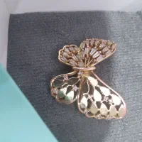 انگشتر پروانه مجلسی