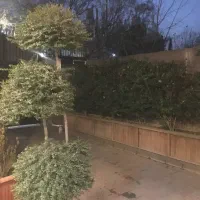 سرایدار چهارباغ کرج