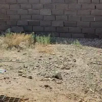 زمین نجف شهر