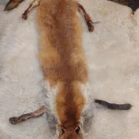 عروسک روباه دکوری