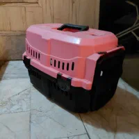 باکس و کوله و  شورتکس سگ