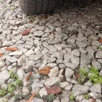 پیکان دوگانه سوز CNG|خودرو سواری و وانت|نوشهر, |دیوار