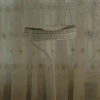 قفس پرنده