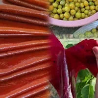 لواشک ترش وملس|خوردنی و آشامیدنی|تهران, گیشا|دیوار