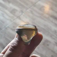 شجر قائن|جواهرات|حمیدیا, |دیوار