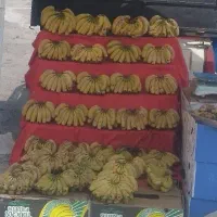 تابلودار برای میوه فروشی