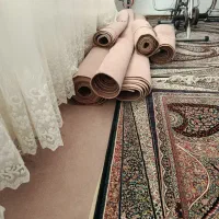 موکت حدود ۶۵ متر|موکت|ارومیه, |دیوار