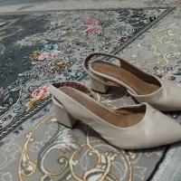 کفش و کیف|کیف، کفش، کمربند|گنبد کاووس, |دیوار