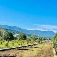 فایل کاسبی به قیمت ویوکوه جنگل باسندمحضری انشعابات