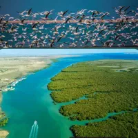 اجاره زمین کشاورزی جالاله