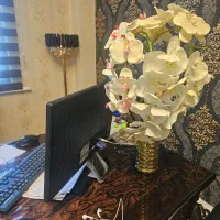 کارمند خانم بیمه سامان