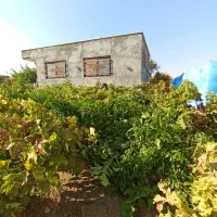 اجاره روزانه باغ ویلا تفریحی با خانه باغ مبله|اجارهٔ کوتاهمدت ویلا و باغ|شاهرود, |دیوار