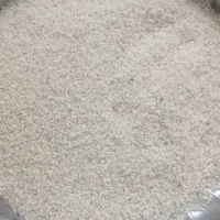 نیم دانه هاشمی