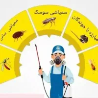 سمپاشی  یک سال ضمانت ساس سوسک موش کنه حتی تعطیلات